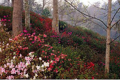 报道称谷歌曾考虑收购Epic Games以限制其竞争